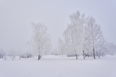 Similar image 21496550