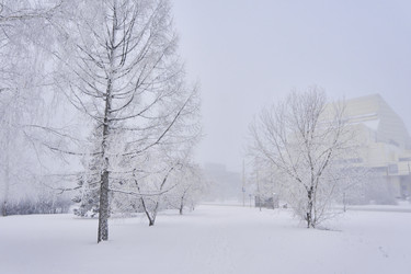 Similar image 21496553