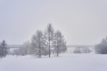 Similar image 21496555