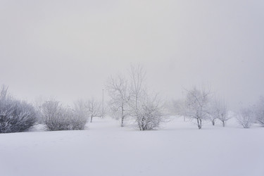 Similar image 21496557