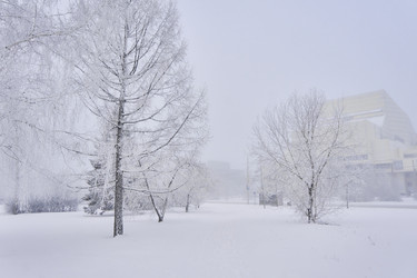 Similar image 21496560