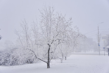 Similar image 21496564