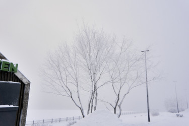 Similar image 21496565