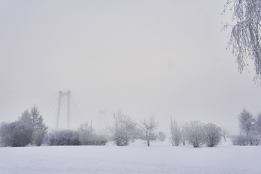 Similar image 21496569