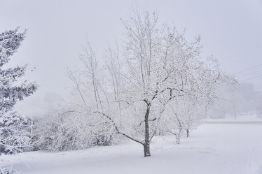 Similar image 21496571