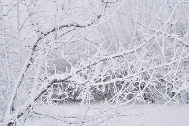 Similar image 21496572