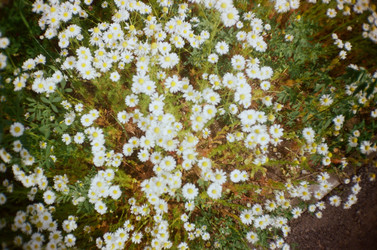 Similar image 21486524