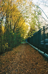 Similar image 21486525