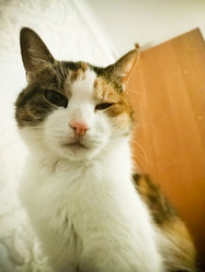 Similar image 21487992