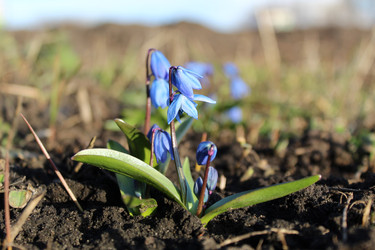 Similar image 21482778