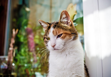 Similar image 21487997