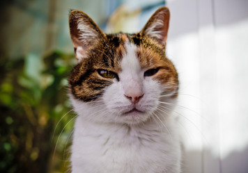 Similar image 21487998