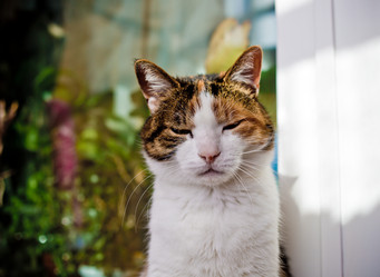 Similar image 21487999