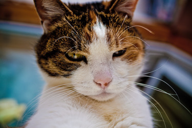 Similar image 21488002