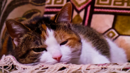 Similar image 21488004