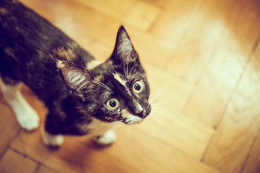 Similar image 21488005