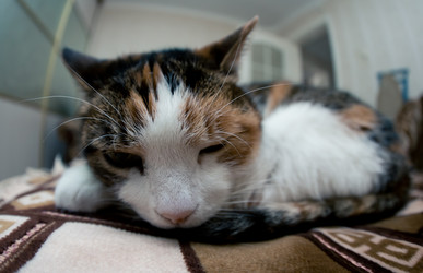 Similar image 21488009