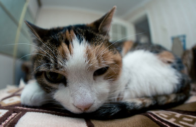 Similar image 21488010