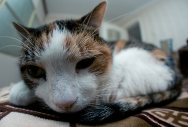 Similar image 21488013