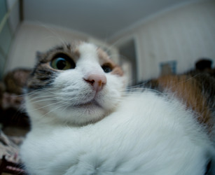 Similar image 21488014