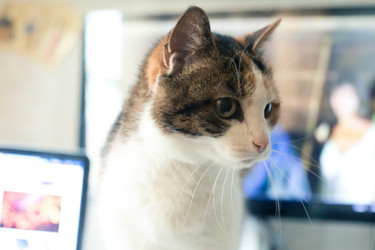 Similar image 21488017