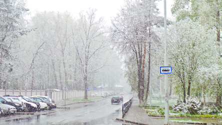 Similar image 21488020