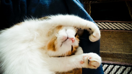 Similar image 21488024