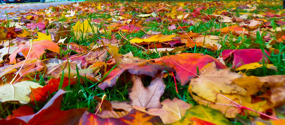 Similar image 21488028