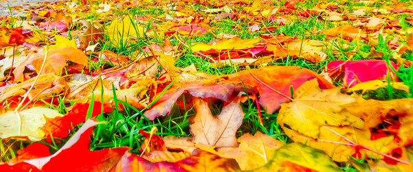 Similar image 21488029