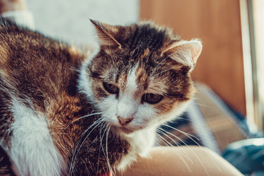 Similar image 21487692