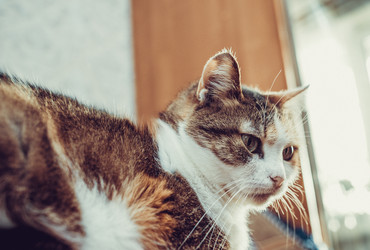 Similar image 21487693