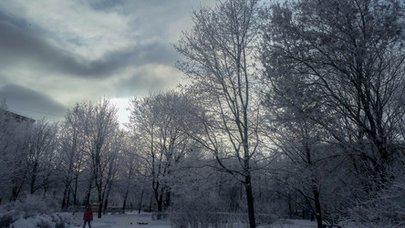 Similar image 21488035