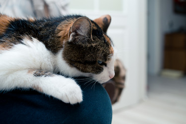 Similar image 21488039