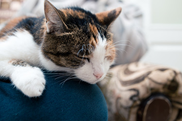 Similar image 21488040