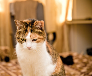 Similar image 21488042