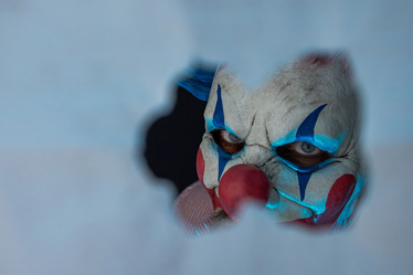 Similar image 21486571