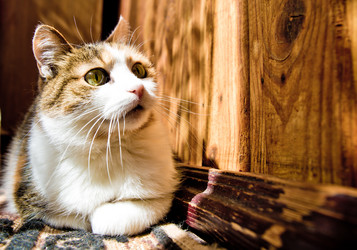 Similar image 21488045