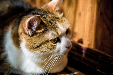 Similar image 21488046