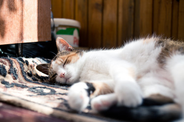 Similar image 21488048