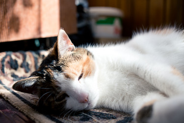 Similar image 21488050