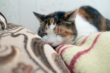 Similar image 21487697