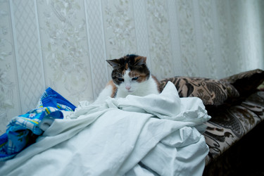 Similar image 21488051