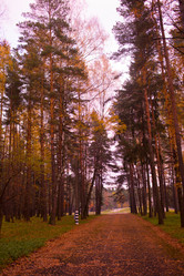 Similar image 21488053