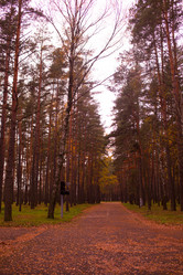 Similar image 21488054