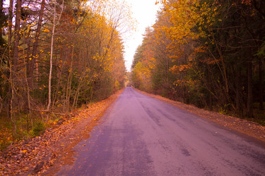 Similar image 21488056