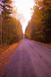 Similar image 21488057