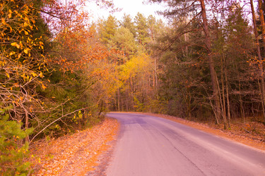 Similar image 21488058