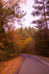 Similar image 21488059