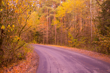 Similar image 21488060