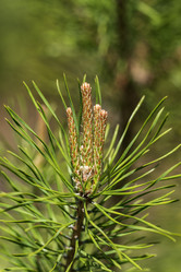 Similar image 21486527